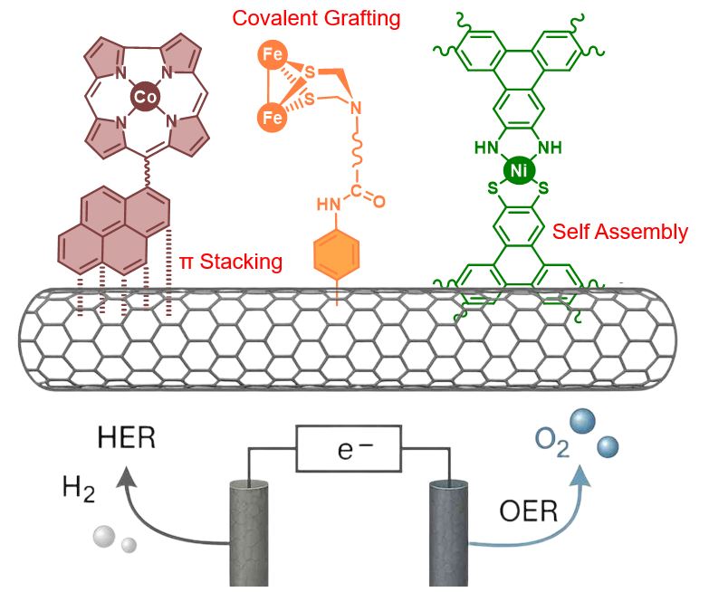 Molecular electrocatalysis schematic for hydrogen and oxygen evolution reactions