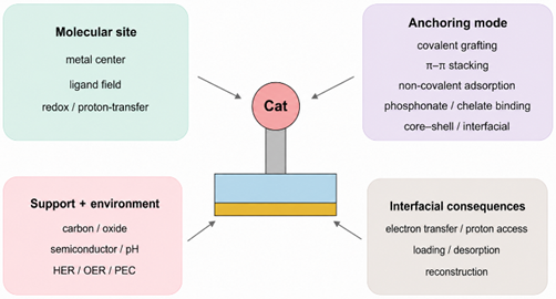 Immobilized molecular catalysts on functional electrode interfaces