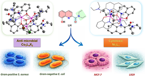thumbnail for Metal-directed structural divergence governing cytotoxic and antimicrobial activity in multinuclear quinoline complexes