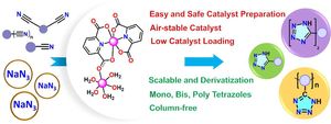 thumbnail for Efficient dinuclear Co(II) and Ni(II) catalysts: Enhancing azide–nitrile cycloaddition and catalytic insights for the synthesis of mono-, bis-, and poly-tetrazoles