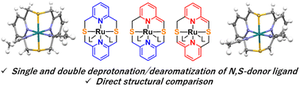thumbnail for Single and double deprotonation/dearomatization of N,S-donor pyridinophane ligand in ruthenium complexes