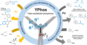 thumbnail for Ylide-substituted phosphines: A platform of strong donor ligands for gold catalysis and palladium-catalyzed coupling reactions