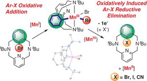 thumbnail for Aryl–X bond-forming reductive elimination from high-valent Mn–aryl complexes