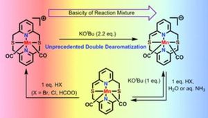thumbnail for Facile and reversible double dearomatization of pyridines in non-phosphine Mn(I) complexes with N,S-donor pyridinophane ligand