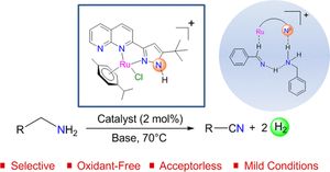 thumbnail for Acceptorless and oxidant-free double dehydrogenation of primary amines to nitriles by a ruthenium complex featuring pyrazolato functionality