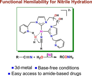 thumbnail for Hemilability-driven water activation: A Ni(II) catalyst for base-free hydration of nitriles to amides