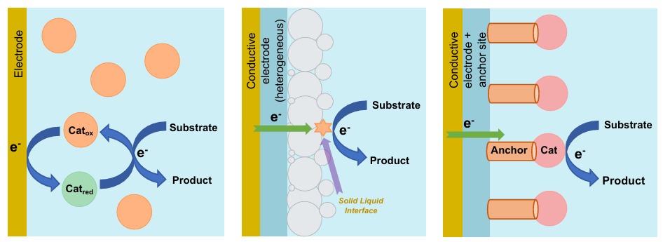 Molecular catalyst and electrode interface schematic